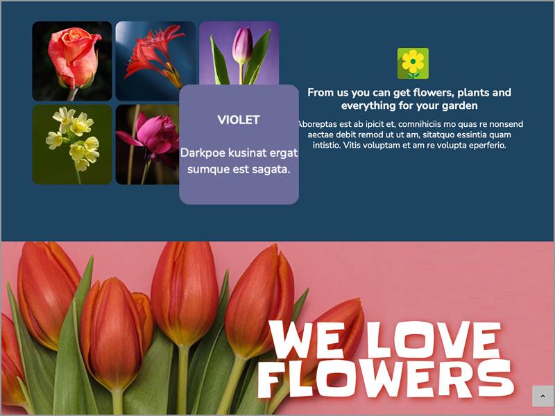 FLOWER SHOP