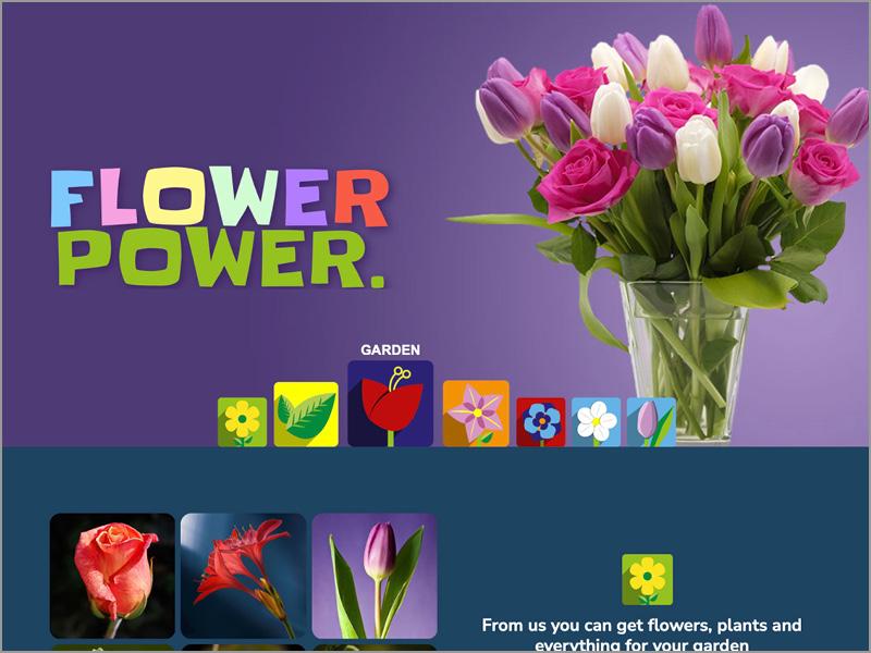 FLORERÍA